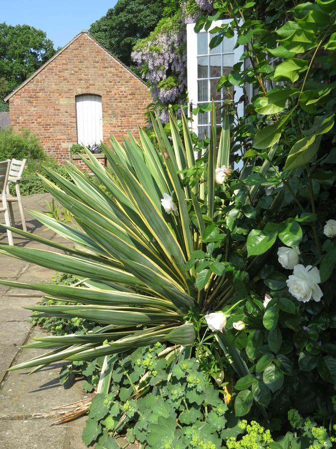 Rock Farm Bed & Breakfast Tarporley Exterior photo